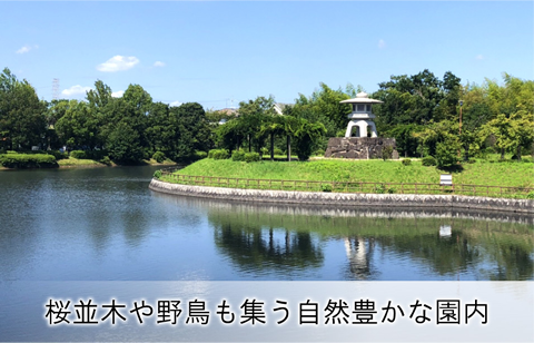 桜並木や野鳥も集う自然豊かな園内