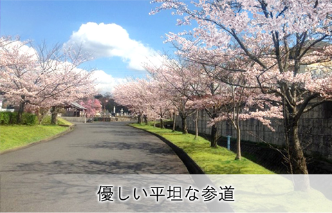 優しい平坦な参道